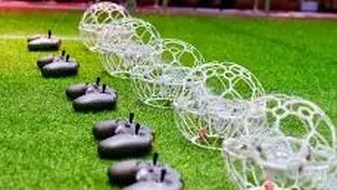 AG捕鱼王在线网址 资讯 122939 j9e