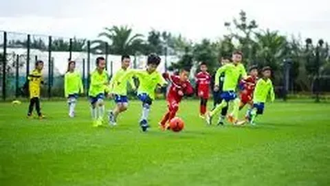 问鼎娱乐平台：畅玩真人视讯、老虎机、百家乐等热门游戏